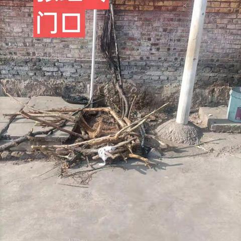 2022年1月14日新立村环境卫生存在问题