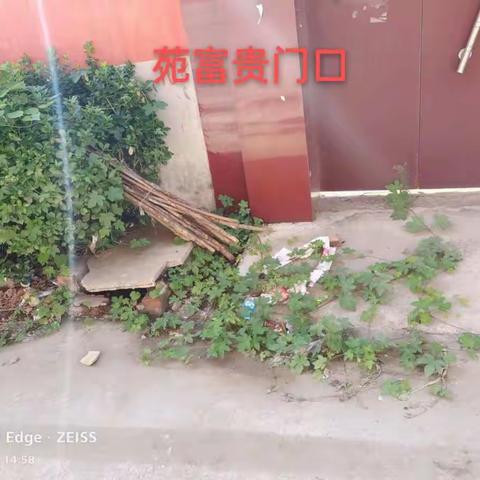 2022年8月19日新立村环境卫生存在问题