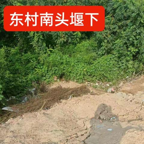 20220年东村环境卫生存在问题