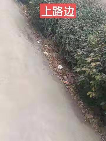 2022年1月20号新立村环境卫生存在问题