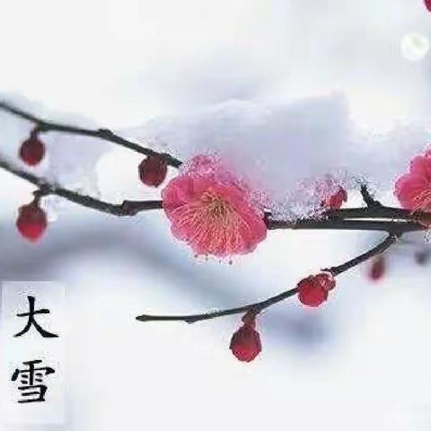 “大雪节气，遇见美好”