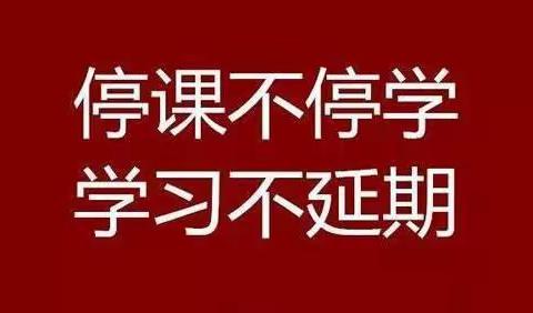 洪山小学六年级网络教学工作纪实