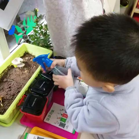 快乐的幼儿园---大明幼儿园中一班十一月回顾