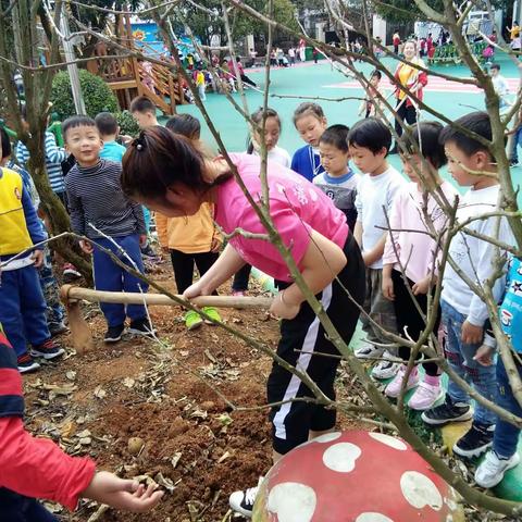 开春了，这家幼儿园开始让孩子出来挖土了😄😄😄