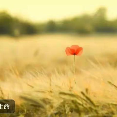 合阳县城关孟家庄小学国庆节假日阴雨天温馨提示