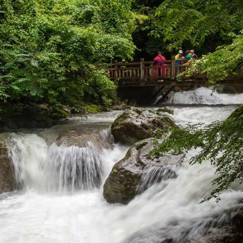 行摄之旅——灵秀湖北  一个仙气缥缈的神仙旅游地神农架