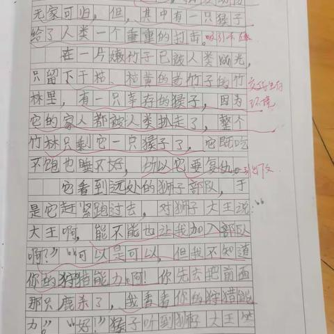 7月21日10：30-12：00新四年级作文唐老师班