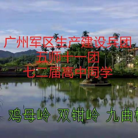 广州军区生产建设兵团五师十一团七二届高中同学