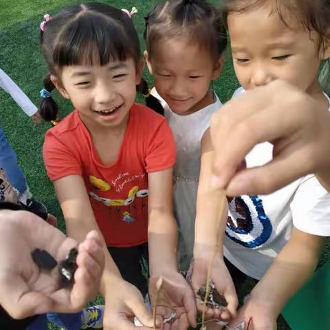 “大手小手齐动手，爱护环境齐努力”——一年级体育课的意外收获