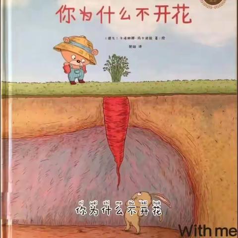 《你为什么不开花》