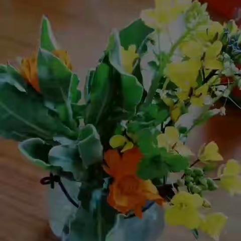 空中课堂第六周——新荷幼儿园中班年级组