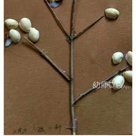 空中课堂第八周——新荷幼儿园中班年级组