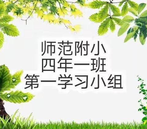 鸡西市师范附属小学 四年一班 第一学习小组 寒假生活展示