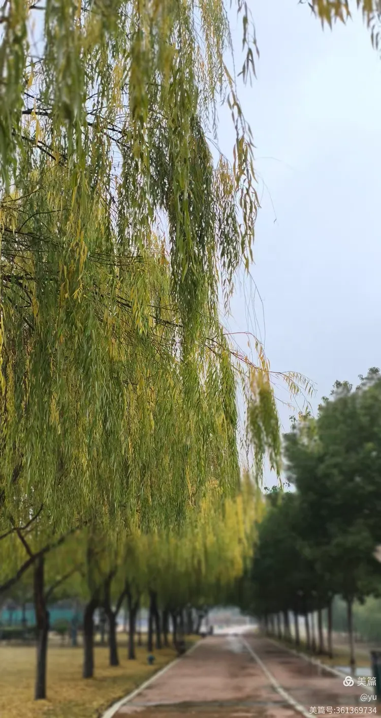 武汉硚口区天气预报