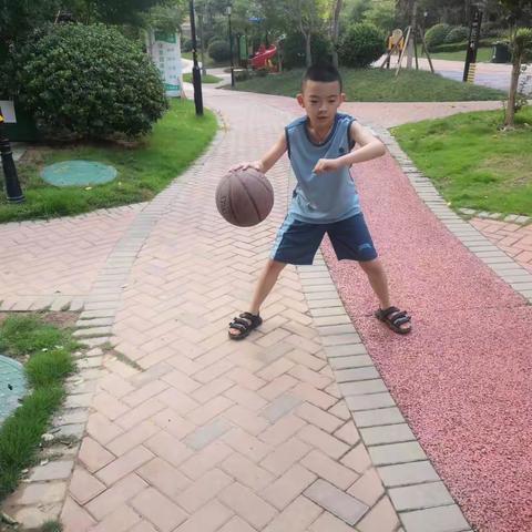 【书院六小】特色实践作业，多彩暑假生活———三年级暑假综合实践活动展示