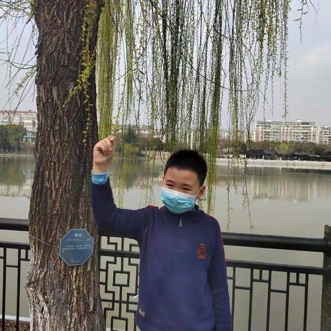 找春天——通师二附  四（3）班 吴佳熹