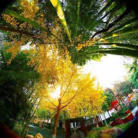 靶向高考 精准备战——西安市第一中学物理组教研活动纪实