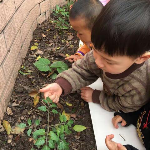 看，我得校园生活很精彩吧！