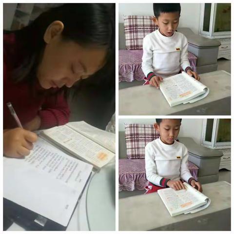 不输在家庭教育三年八班第二小组