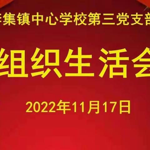 李集镇中心学校第三党支部召开组织生活会