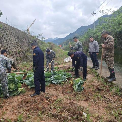 保护河湖水环境，龙津镇河长办联合城管清理违规菜地