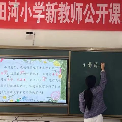 水田河小学——新进教师展风采，团结互助共成长