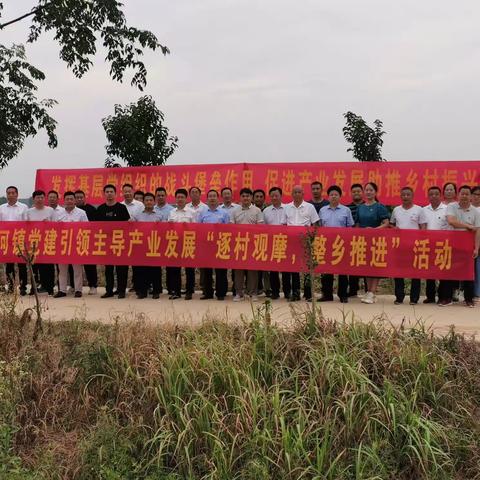 寨河镇组织开展党建引领产业发展第二季度“逐村观摩、整乡推进”活动
