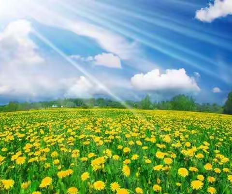 心有温暖阳光，不惧风雨寒凉——雁江七小五年级教师活力宅家，引领学生开展别样网络学习