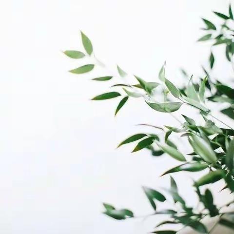 枝江市小学语文骨干教师示范课展示活动在团结路小学成功举行