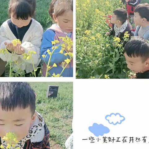 "种下希望   收获未来"第二中心幼儿园植树节主题活动