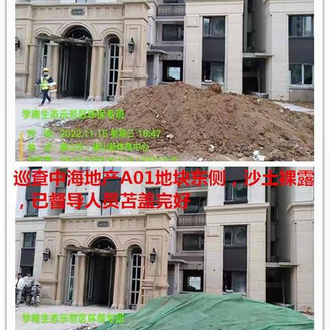 11月17日学南生态环保专班工作开展情况