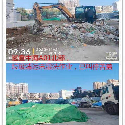 11月21日学南生态环保专班工作开展情况