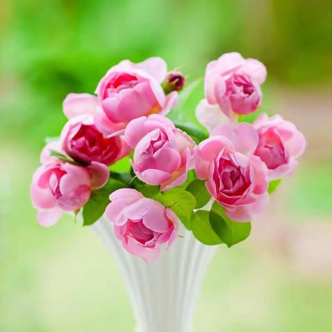 520.对自己好一点