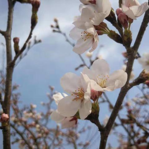 春天，播种希望的日子