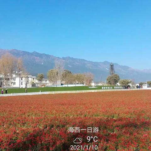 冬游