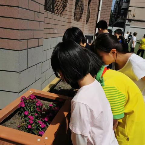 践行新课标，探索跨学科育人——学院附小“新课标·新教材·新课堂青年教师展示课”系列活动之三