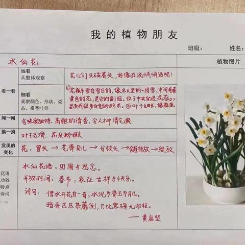 德阳天立学校小学部2020级5班第五周总结