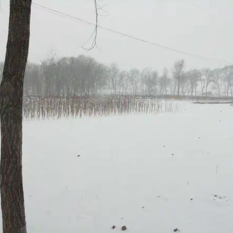 雪