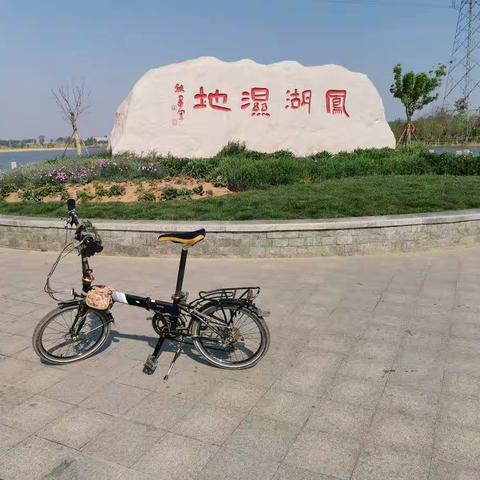 看看凤湖去