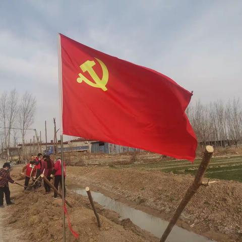 干群齐心党旗红    义务植树村庄美