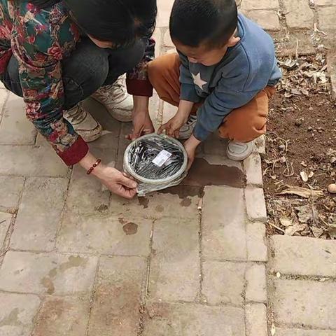 黄渠中学《不输在家庭教育》幼儿园中班植树节