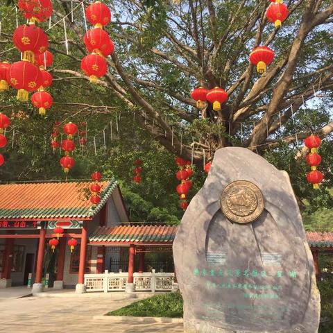 星湖-诗情画意的山水画卷