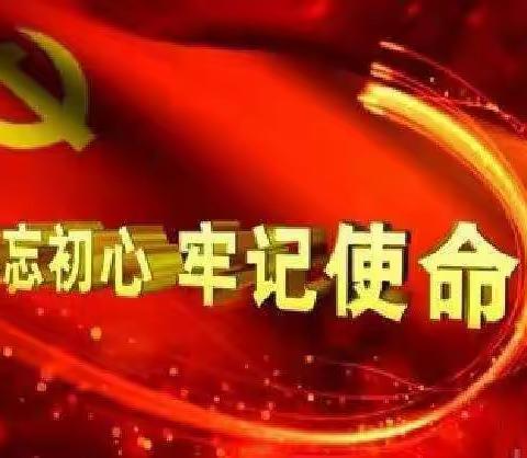 【南岔区东方红小学】不忘初心、牢记使命 争做新时代合格党员