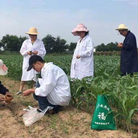 农业农村局7月6日工作动态