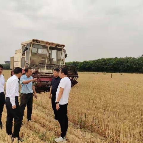副市长王文俊到西庄镇调度“三夏”抢收抢种工作