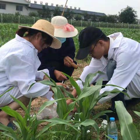 农业农村局7月7日工作动态