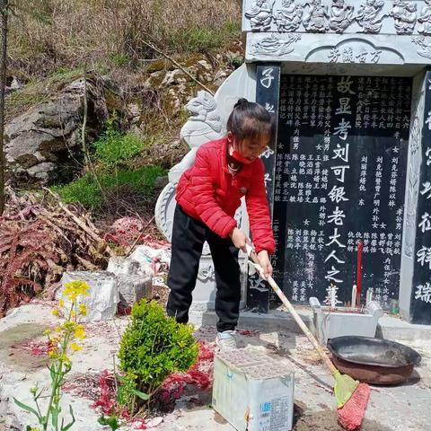 我的清明小长假