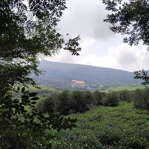 无锡纯玩二日游记（续4）