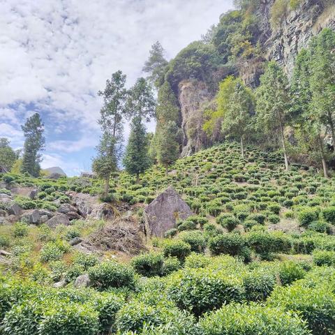 安徽池州三日游记（续3）