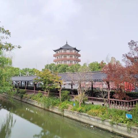 嘉兴桐乡汇丰村一日游记